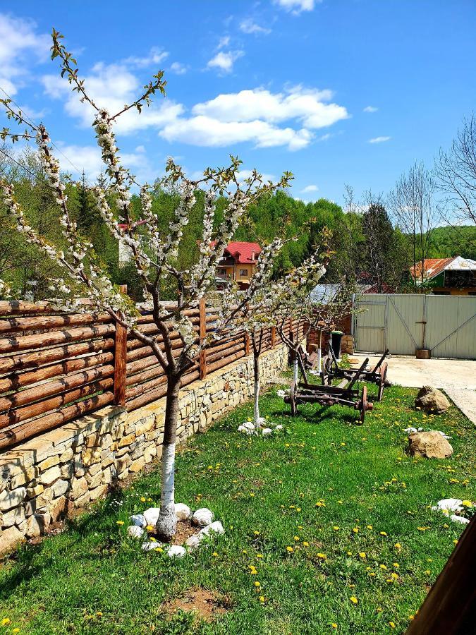 Rooms Poienita Slanic Moldova Ngoại thất bức ảnh